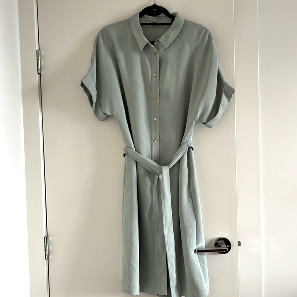 Babaton Glen Dress